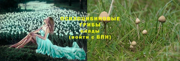 а пвп мука Бугульма
