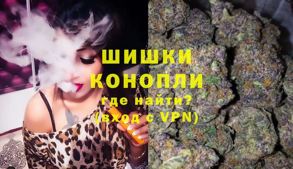 гидра Белокуриха