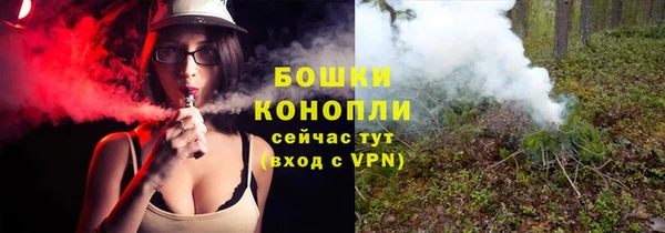 стаф Бронницы