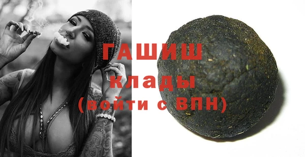 mdpv Бородино