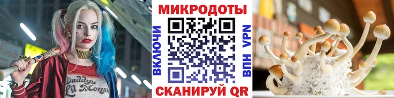 Купить закладки  Озёры  Псилоцибиновые грибы Magic Shrooms 